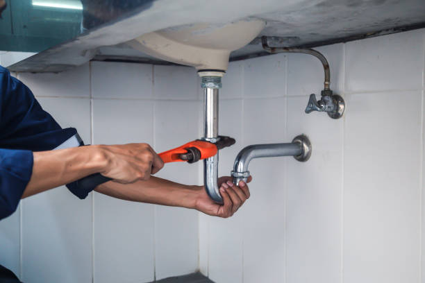 Best Local Plumber Services  in The Woodlands, TX